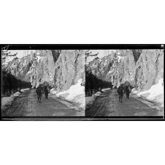 Mulet de ravitaillement, Vosges. [légende d’origine]