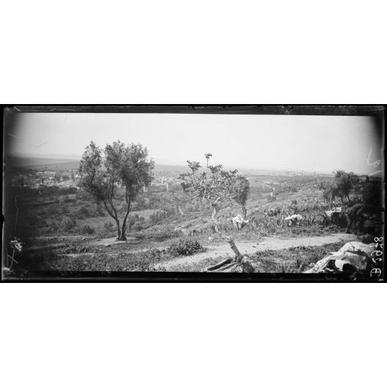 Panorama de la ville de Fez. Vue prise du Borj Nord [legende d’origine]