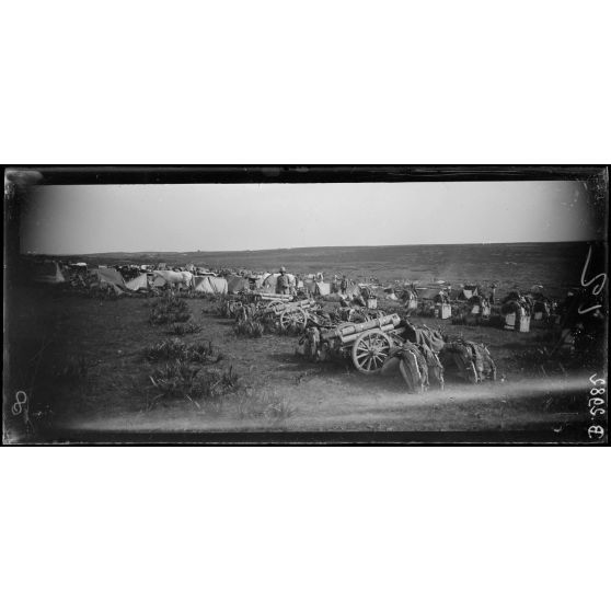 Au camp, près d’Aïn Sbitt, canons de 65 de montagne. [légende d’origine]
