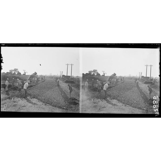 Des prisonniers réparent une route devant Rabat. [légende d'origine]