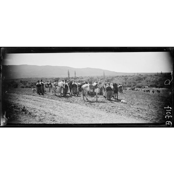 Volubilis, campement des spahis. [légende d’origine]