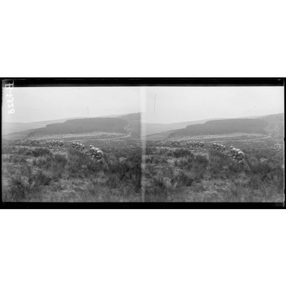 Dans les Vosges, manœuvres d’alpins. [légende d’origine]