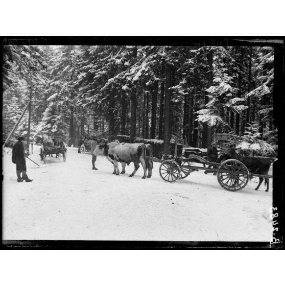 Vosges, un convoi sur la route. [légende d’origine]