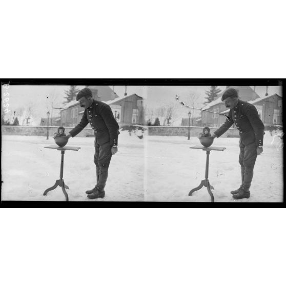 Gérardmer, singe. [légende d'origine]