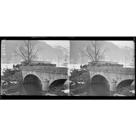 Oderen. Arrivée d'un convoi de mulets au cantonnement. [légende d'origine]