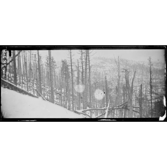 Hartmannswillerkopf. Vue prise d'une ancienne tranchée de départ. [légende d'origine]