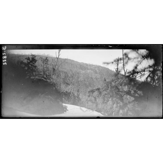 L’Hartmannswiller. [légende d’origine]