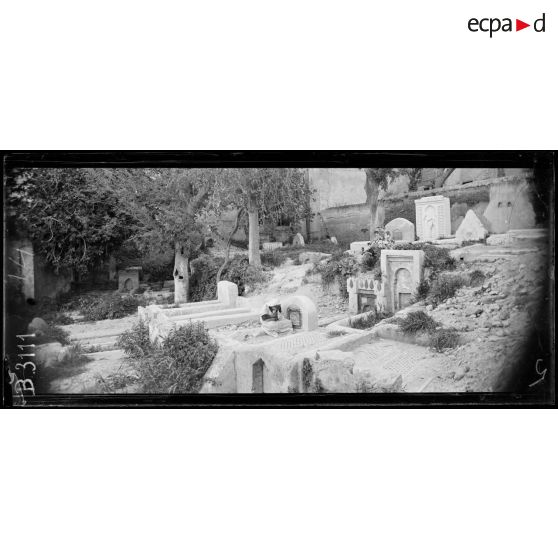 Fez, cimetière marocain dans la ville. [légende d’origine]