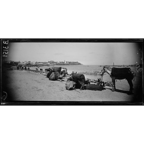 Rabat, l’embouchure de l’oued Abou Regreg. [légende d’origine]