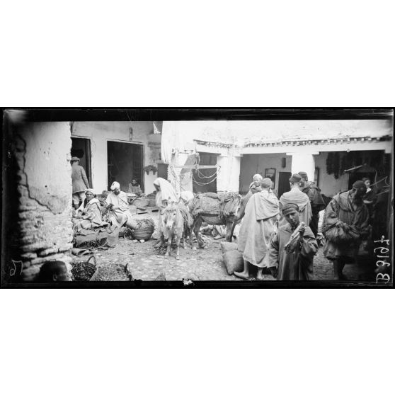 Fez, marché aux légumes dans le Mellah. [légende d’origine]