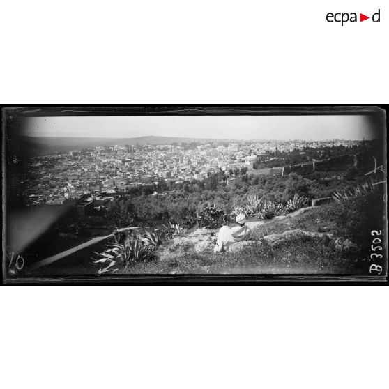 Fez, panorama pris vers la kasbah des Cheradelas du Borj Nord. [légende d’origine]