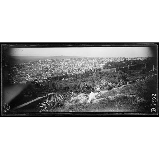 Fez, panorama pris vers la kasbah des Cheradelas du Borj Nord. [légende d’origine]