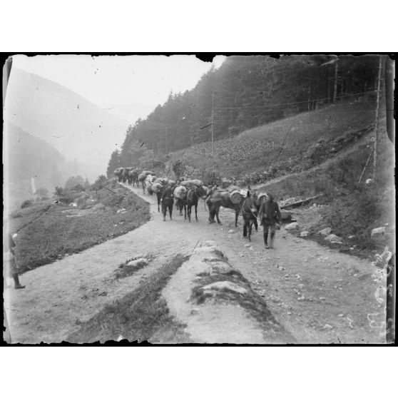 Ravitaillement par mulets vers le Lac Noir. [légende d’origine]