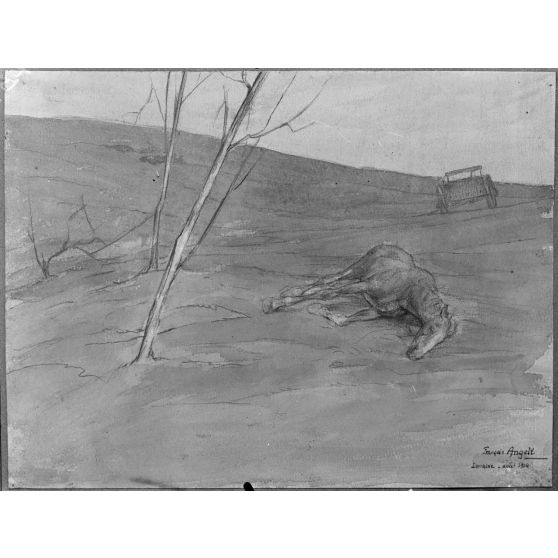 Paris, salon des Armées, Cheval mort, aquarelle de Angeli. [légende d’origine]