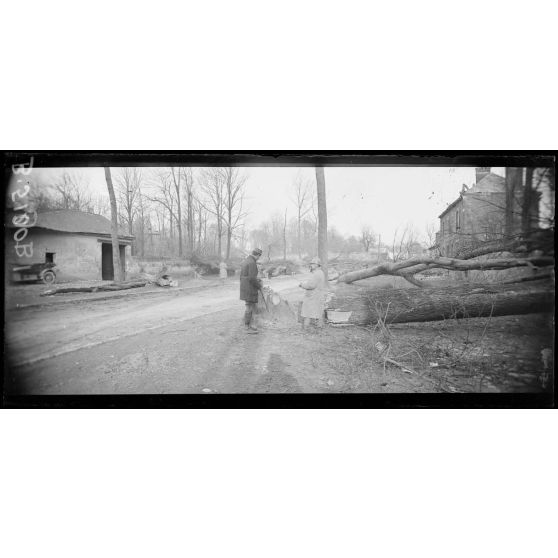 Noyon, boulevard Carnot, les arbres détruits par les allemands pour obstruer le passage. [légende d’origine]