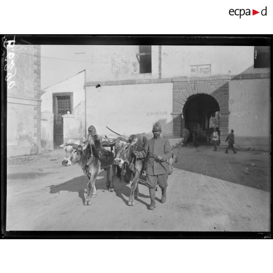 Remparts de Peschiera. Une porte. Attelage des boeufs militaires. [légende d'origine]