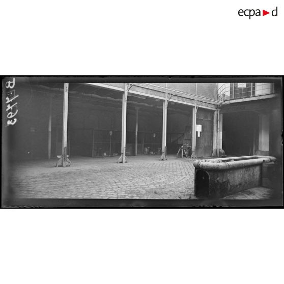 Paris, jardin d'acclimatation. Hôpital militaire canin de la Blue-Cross. Une salle de l'hôpital. [légende d'origine]