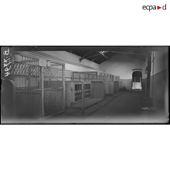 Paris, jardin d'acclimatation. Hôpital militaire canin de la Blue-Cross. Une salle de l'hôpital [légende d'origine]