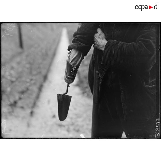 Maison-Blanche (Seine). Rééducation des mutilés cultivateurs. Le transplantoir pour jardinier. [légende d'origine]