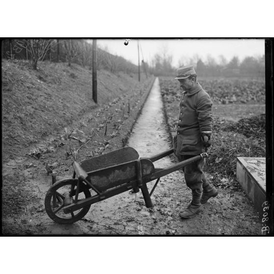 Maison-Blanche (Seine). Rééducation des mutilés cultivateurs. Cultivateur conduisant une brouette grâce au porte-outil Devanne. [légende d'origine]