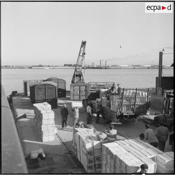 Chargement d'agrumes sur le Marquette dans la rade d'Alger.