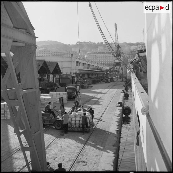Chargement d'agrumes sur le Marquette dans la rade d'Alger.