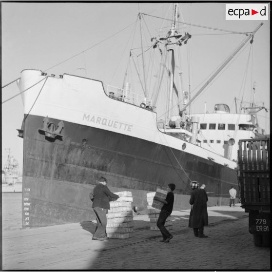 Chargement d'agrumes sur le Marquette dans la rade d'Alger.