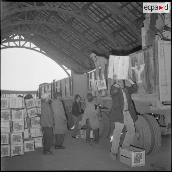 Reprise du travail sur les docks du port d'Alger.