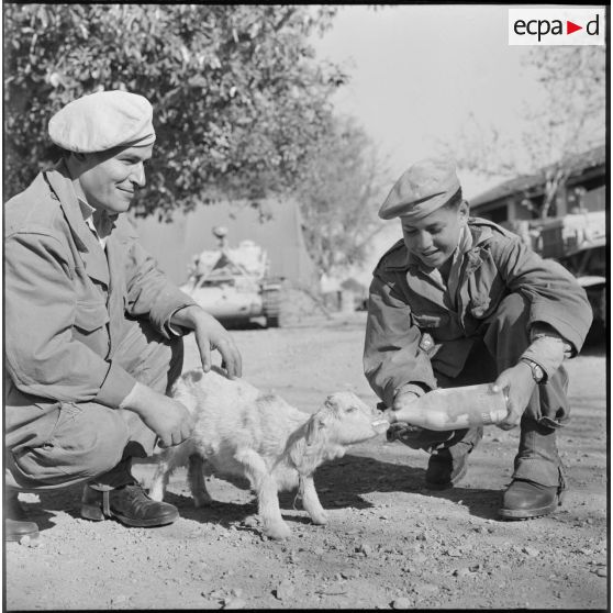 Cantonnement du 2e AMX dans le secteur de Souma.