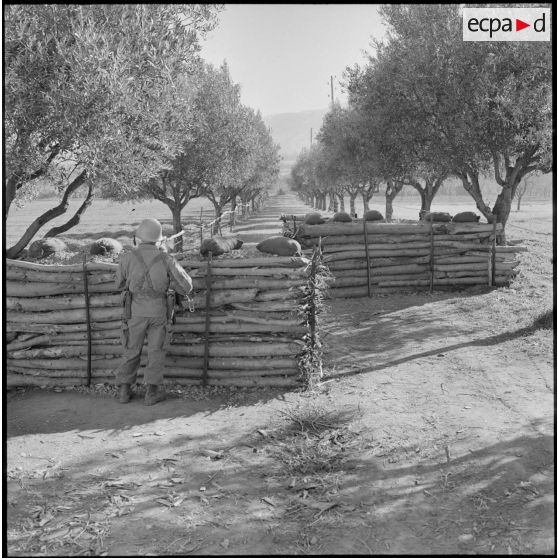 Vues de chicanes en bordure d'un cantonnement.
