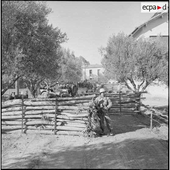 Vues de chicanes en bordure d'un cantonnement.