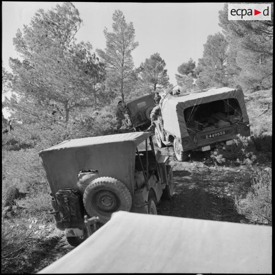 Colonne de véhicules français.