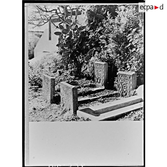 Plan moyen de tombes dans le cimetière du Chellah.