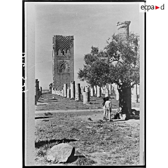 Plan moyen du site archéologique du Chellah.