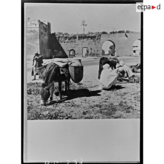 Plan moyen de la porte de Zaers.