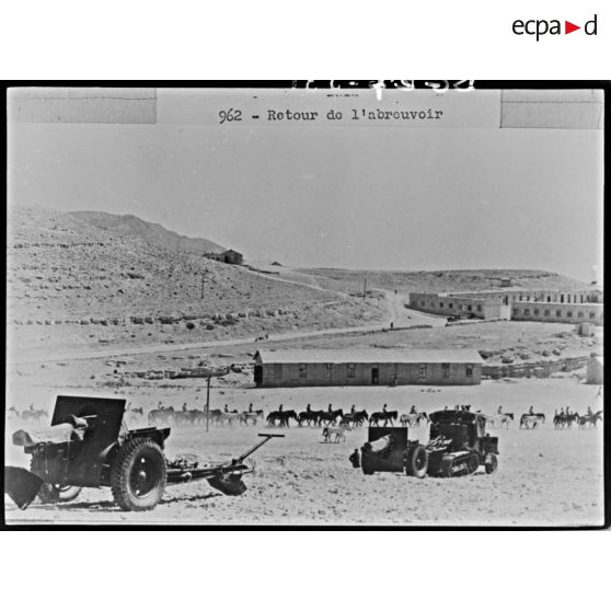 Plan général de chevaux qui rentrent de l'abreuvoir.