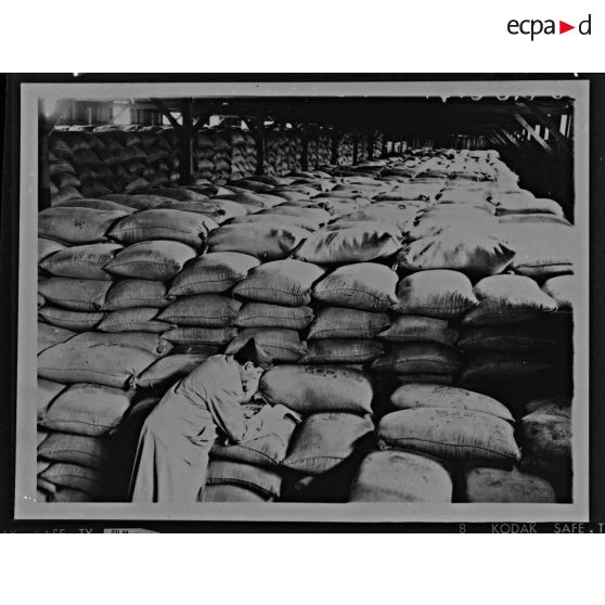 Plan général d'un entrepôt de sacs de farine.