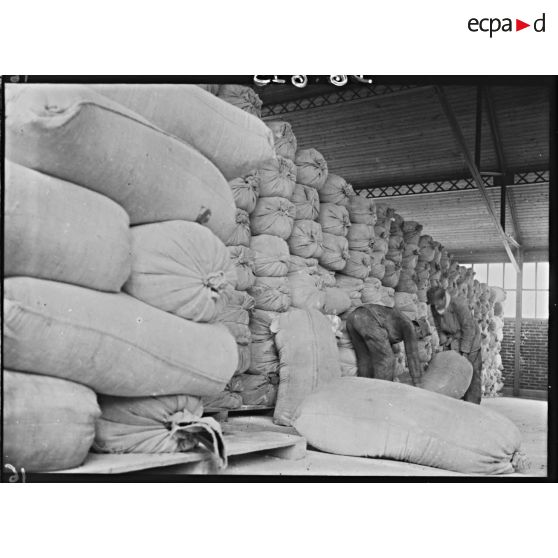 Plan général d'un entrepôt de sacs de farine.