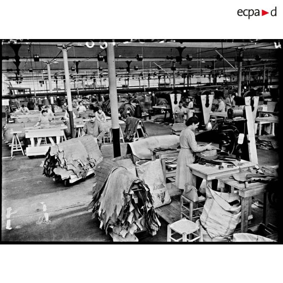 Plan général d'un atelier de l'usine de chaussures dans lequel les ouvrières travaillent.