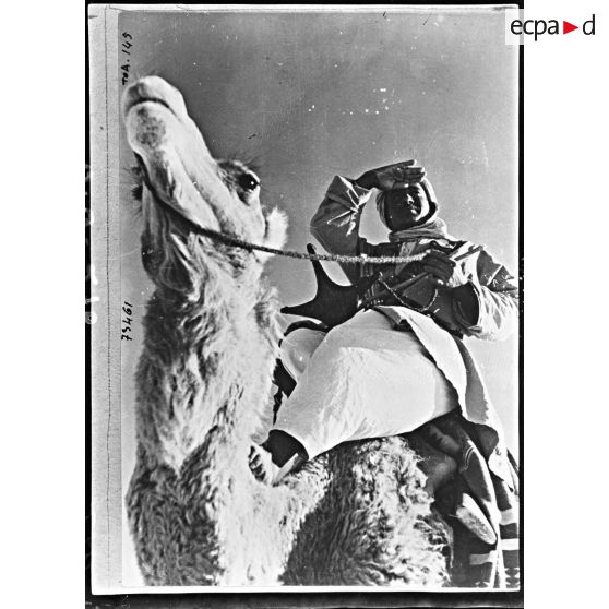 Portrait d'un méhariste d'une compagnie des oasis sahariennes sur son méhari.