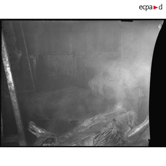 Plan général de l'intérieur d'un abattoir, peu de choses sont visibles : des vapeurs blanches masquent la vue.