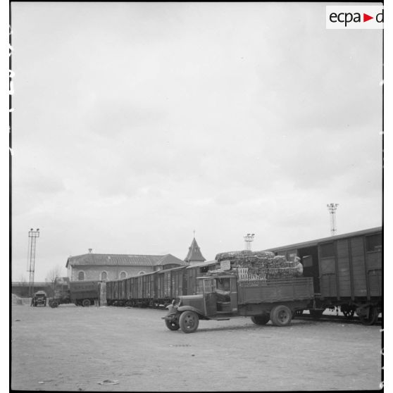 Plan général d'une opération de transbordement : des camions  garés prés des portes de wagons de marchandises sont chargés de produits alimentaires.