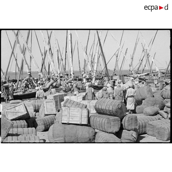 Plan général des quais encombrés du port de Djeddah.