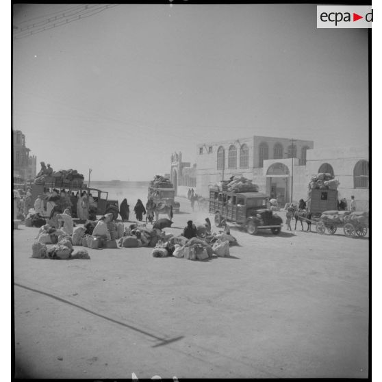 A Djeddah les pélerins embarquent dans des camions pour partir vers La Mecque.