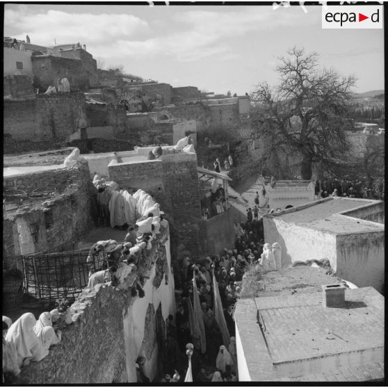 A Médine des pélerins, photographiés en plongée en plan général, se déplacent dans une rue.