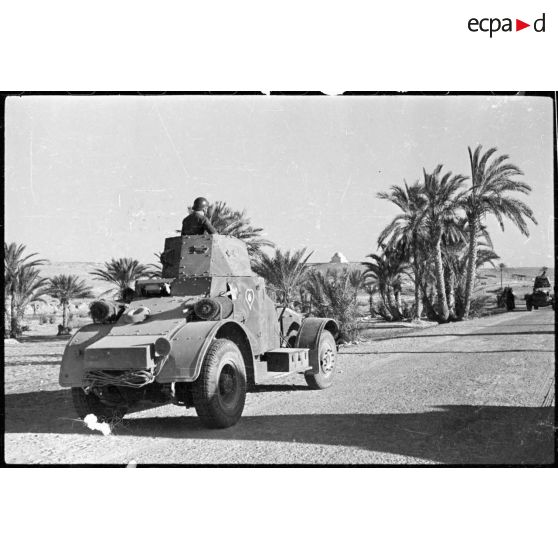 Une AMD Laffly 80 est photographiée en plan général de trois quarts arrière.