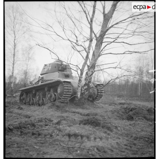 Un char léger Hotchkiss M39 de la 3e DLM débouche d'un bois en écrasant les arbres.