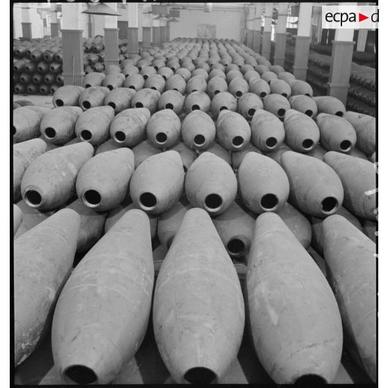 Plan général d'obus alignés et rangés.