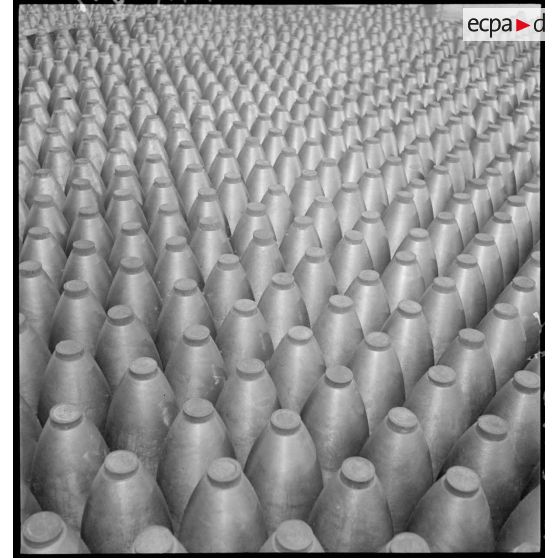 Plan général d'obus alignés et rangés.