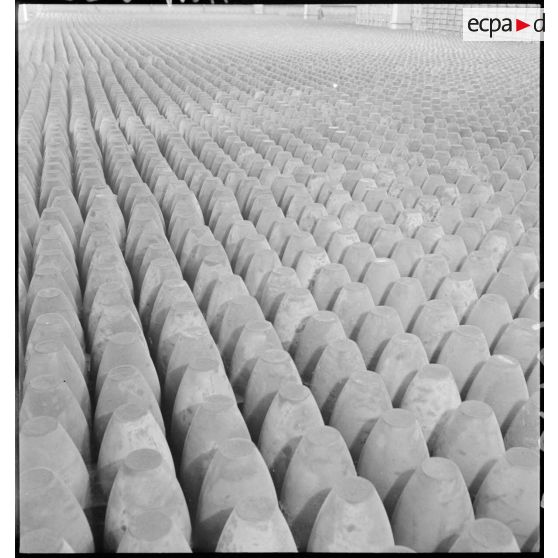 Plan général d'obus alignés et rangés.